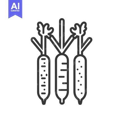 Three Line-Drawn Carrots with Tops
