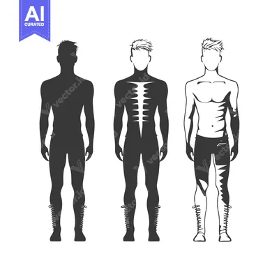Three Male Figures in Different Stages of Undress, Illustrating the Bo