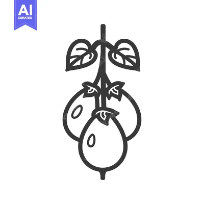Aset premium populer: Three Passionfruit with Leaves on a Vine