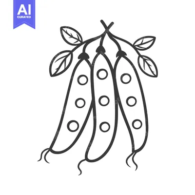 Three Pea Pods with Leaves