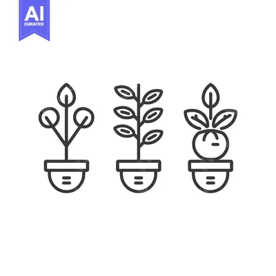 Three potted plants with different leaf shapes and sizes