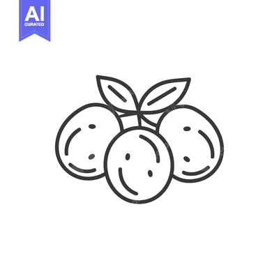 Popular premium asset: Three Round Fruits with Stem and Leaves
