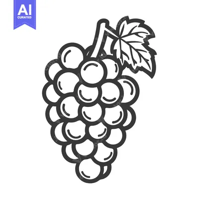 Aset premium populer: A Black and White Outline Drawing of a Grape Bunch with a Single Leaf