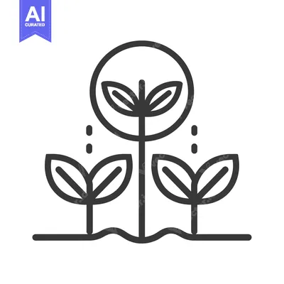 Three Seedlings Growing From the Ground