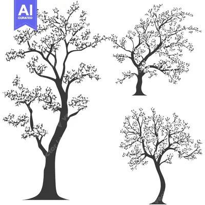 Three Silhouettes of Trees with Branches and Leaves