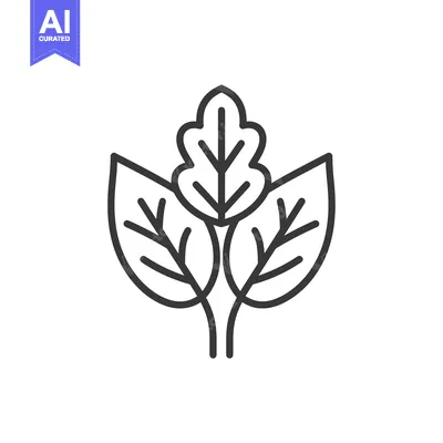 Aset desain premium: Three Simple Line Drawings of Leaves