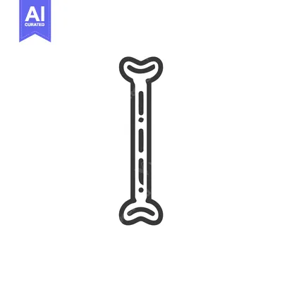 Simple Bone Icon: Anatomical Outline on White Background
