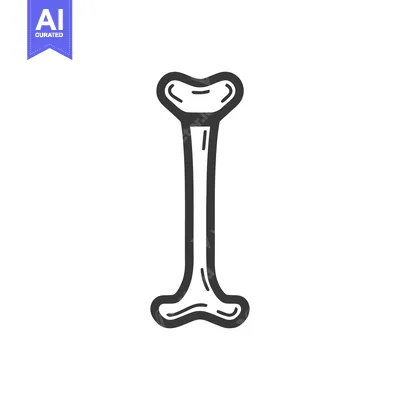 Stylized Bone Illustration: Anatomical Drawing in Black and White, Med
