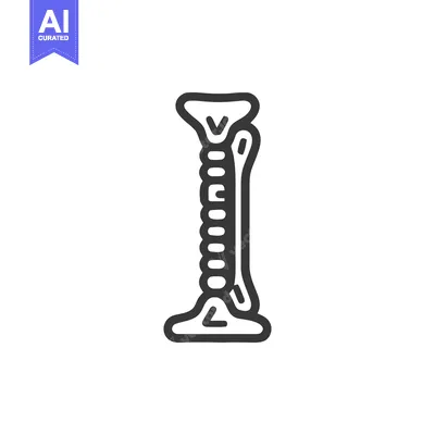 Cervical Spine Icon: Detailed Anatomical Illustration of Human Vertebr