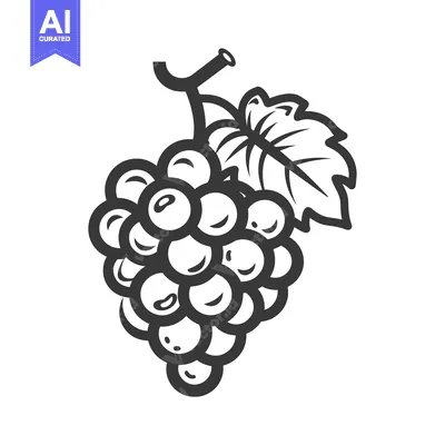 Aset premium populer: A Black and White Outline Illustration of a Grape Cluster with a Leaf