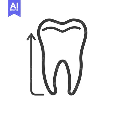 Tooth Growth Icon with Upward Arrow