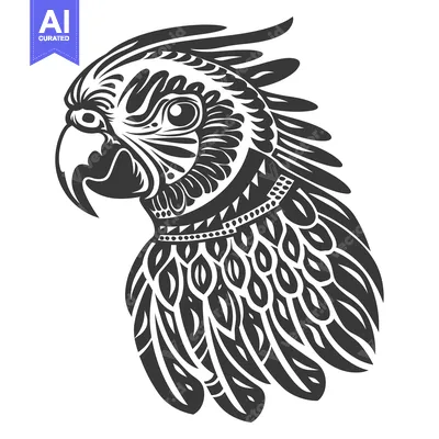 Ornate Black and White Parrot Head with Detailed Feathers