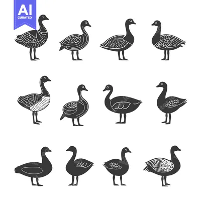 Twelve Black and White Goose Silhouettes with Detailed Patterns
