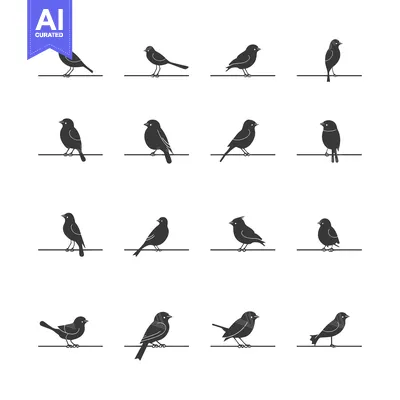 Twelve Black Silhouettes of Birds Perched on a Wire