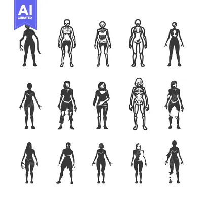 Twelve Female Figures in Various Stages of Decay
