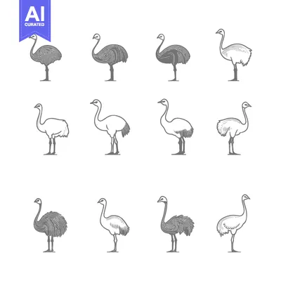 Twelve Grey Outline Illustrations of Emus in Different Poses