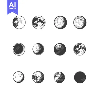 Aset premium populer: Twelve Hand-Drawn Moon Phases in a Grid Pattern
