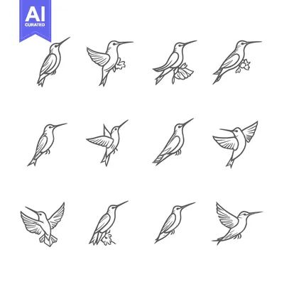 Twelve Hummingbird Illustrations in Various Poses
