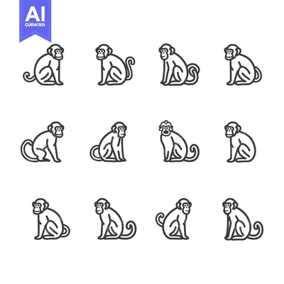 Twelve Line Drawings of Monkeys Sitting in Various Poses
