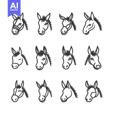 Twelve Outline Drawings of Donkey Heads with Various Facial Expression