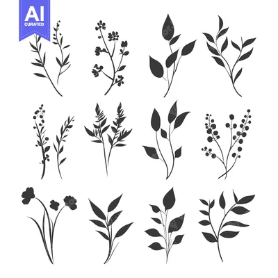 Twelve Silhouettes of Black and White Floral Branches