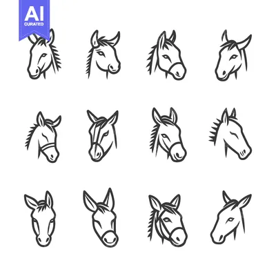 Twelve Variations of a Donkey Head in Outline Form