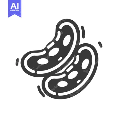 Two Bean Pods with White Interiors and Black Outlines