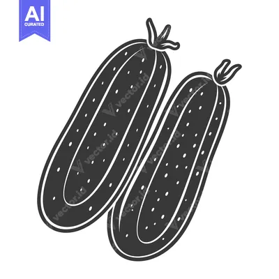 Aset premium populer: Two Black and White Cucumbers on a White Background