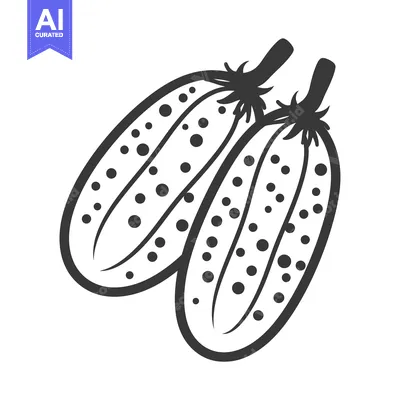 Two Black and White Line Drawings of Cucumbers