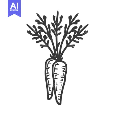 Two Carrots with Green Tops