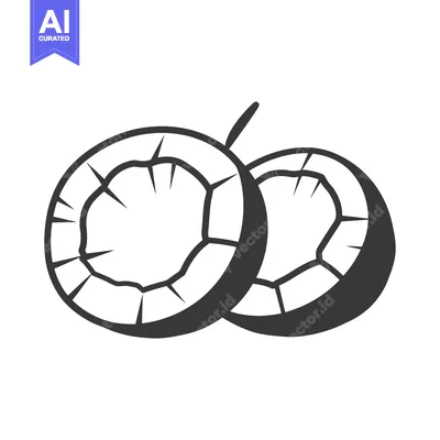 Two Halves of a Coconut in a Black and White Outline