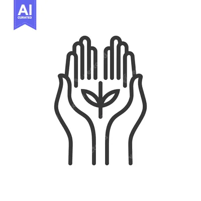 Two Hands Holding a Small Plant Sprout