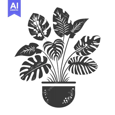 A Black and White Silhouette of a Potted Monstera Plant