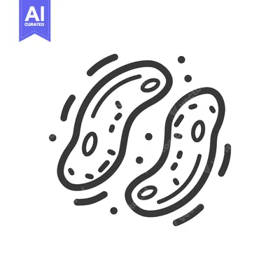 Aset premium populer: Two outlined amoeba-shaped cells with dots