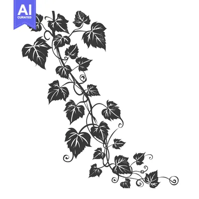 Aset premium populer: A Black and White Silhouette of a Vine with Leaves