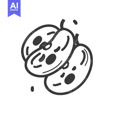 Aset premium populer: Two Overlapping Kidney Beans with Speckled Textures