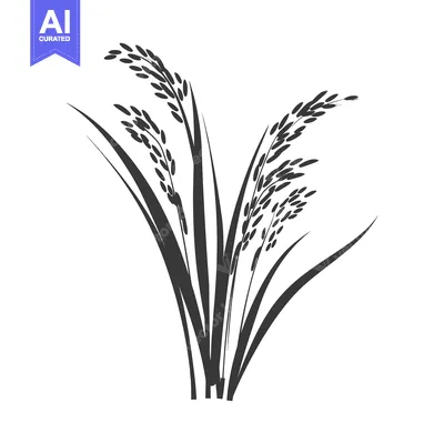 A Black and White Silhouette of Rice Stalks with Grains