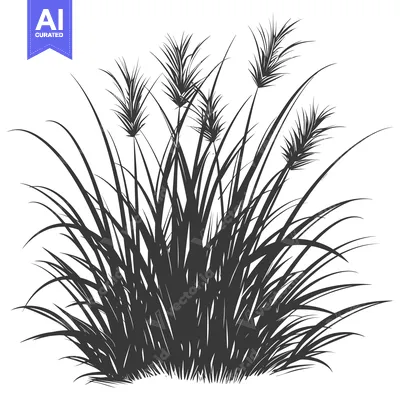 A Black and White Silhouette of Tall Grass with Feathery Tops