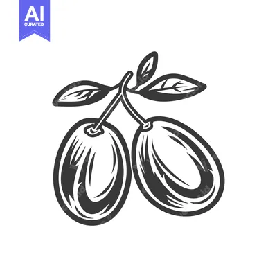 Popular premium asset: Two plums with leaves on a stem