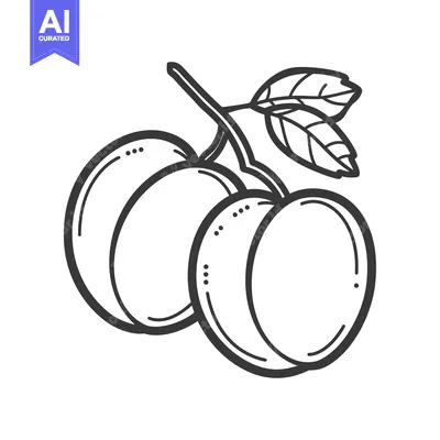Aset premium populer: Two Plums with Stem and Leaf in Line Art