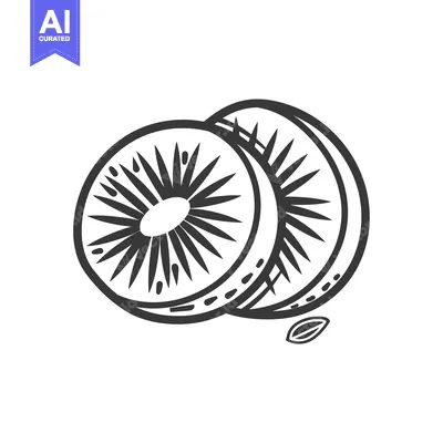 Two Slices of Kiwi Fruit with a Seed