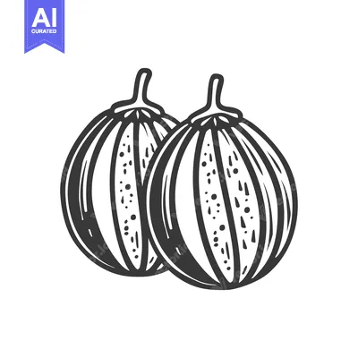 Two Whole Black and White Melon Fruits