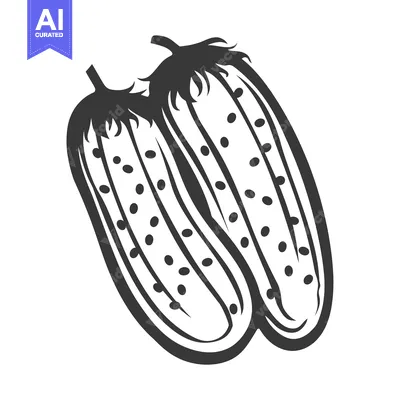 Premium design asset: Two Whole Cucumbers with Black Seed Detail