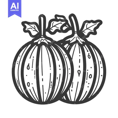 Aset premium populer: Two Whole Striped Melons with Leaves