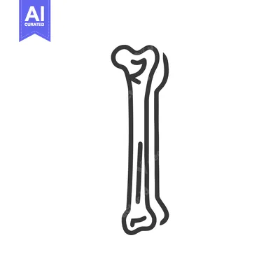 Minimalist Bone Icon: Anatomical Outline on White Background