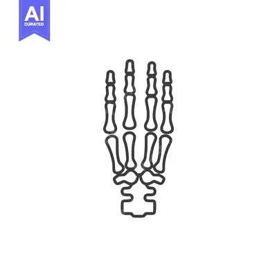 Anatomical Hand Skeleton Outline: Medical Illustration for Educational