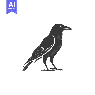 Aset premium populer: A Black Crow Silhouette Facing Right, in Profile
