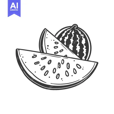 Watermelon with two slices, hand drawn in black and white.