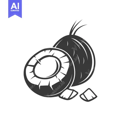 Whole Coconut, Half Coconut, and Coconut Pieces