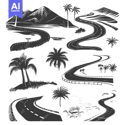 Winding Road Through Tropical Landscape with Palm Trees